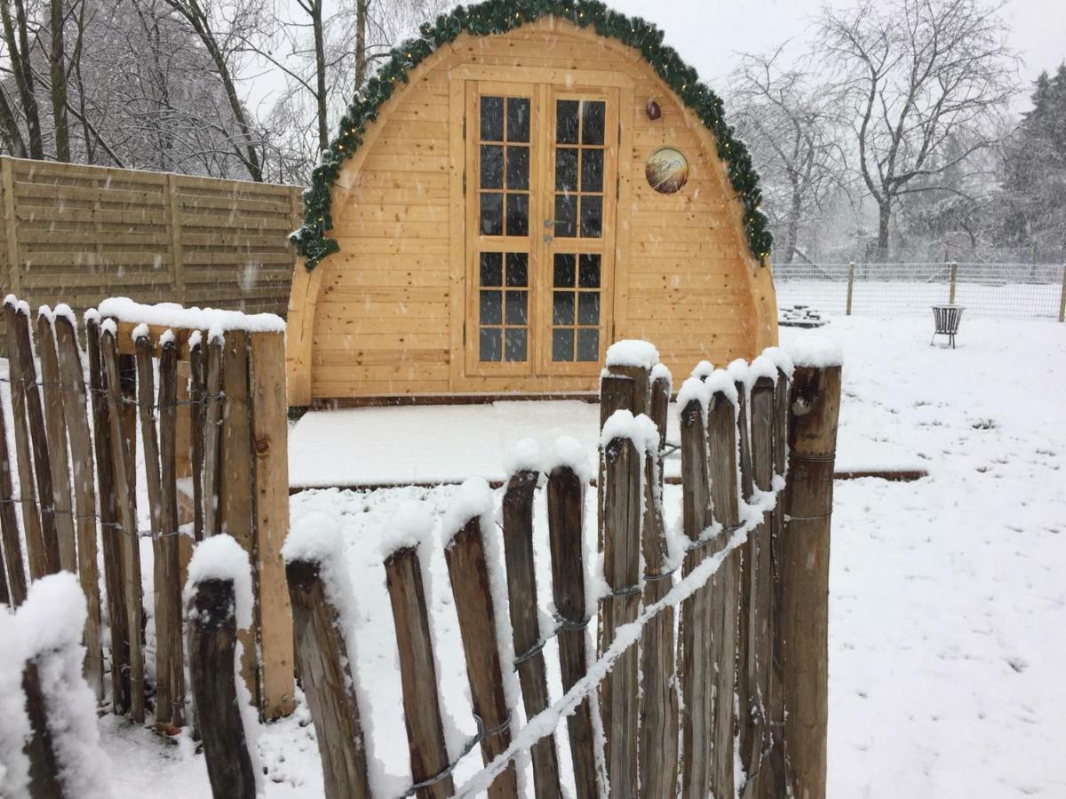 Bed and Breakfast Het Koningshofje Pelt Экстерьер фото